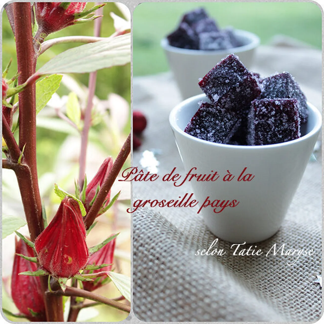 Pâte de fruit de groseille pays