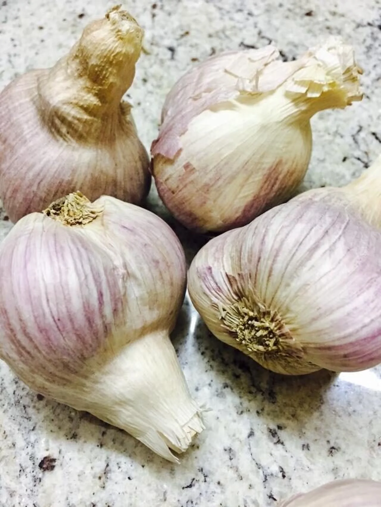 Ail confit maison
