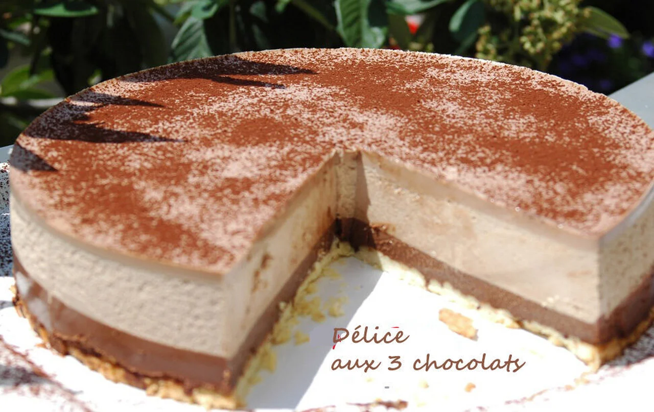 Délice aux 3 chocolats