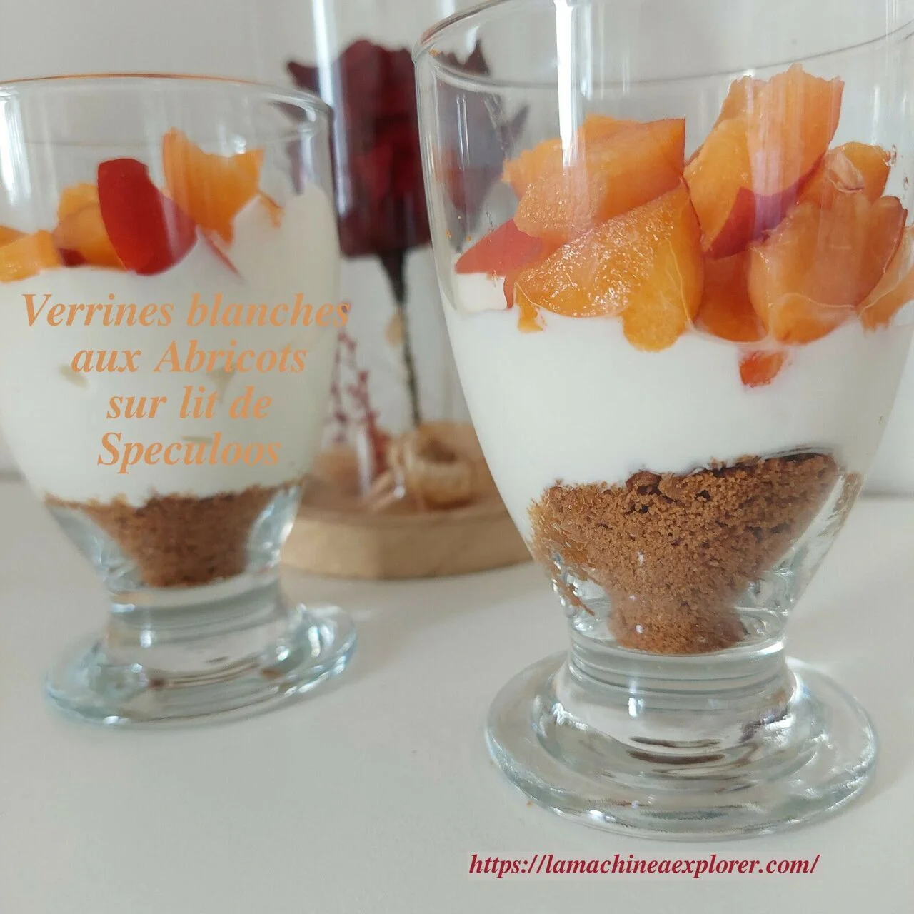 Abricots en verrines sur lit de speculoos