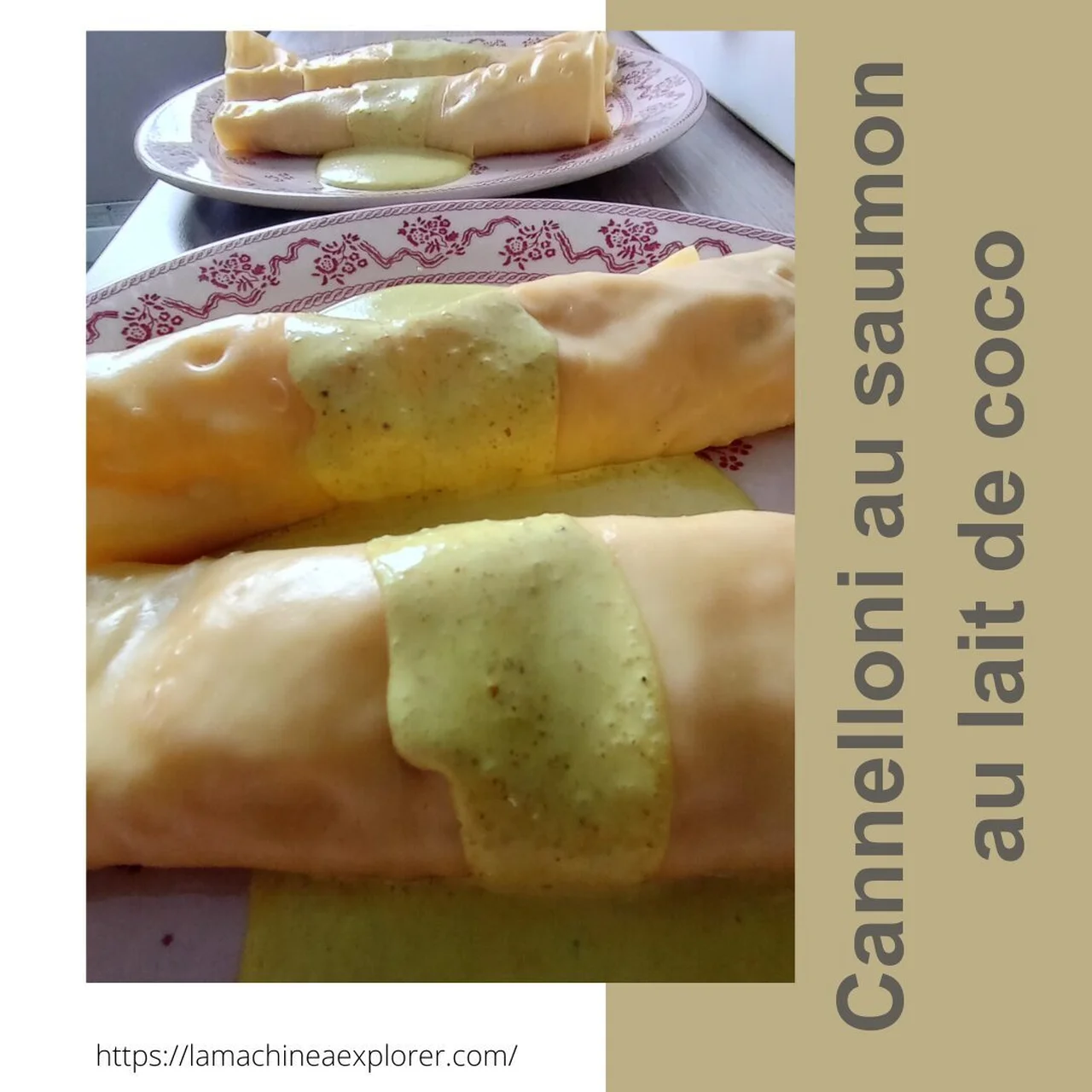 Cannelloni au saumon et lait de coco