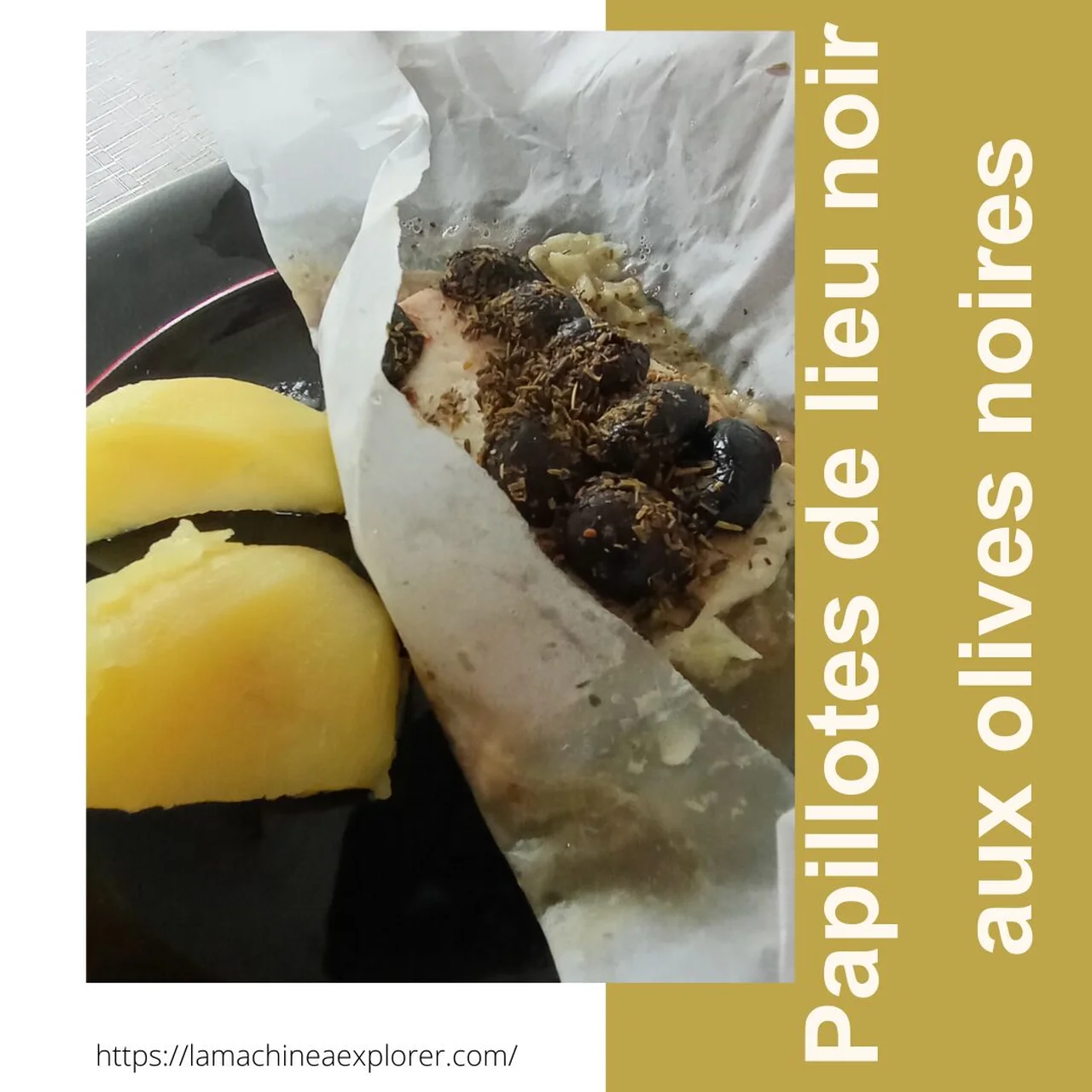 Papillotes de lieu noir aux olives noires