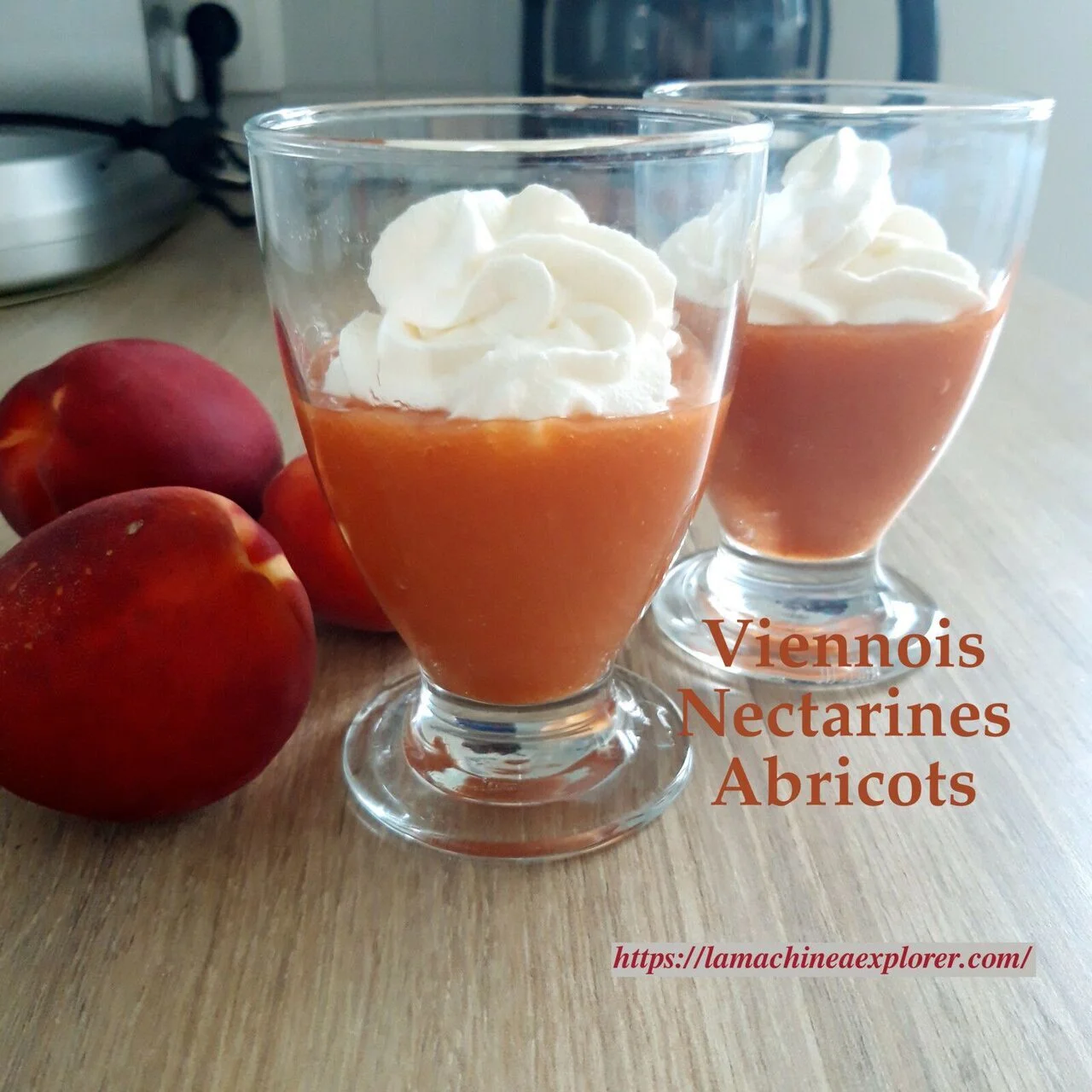 Viennois aux nectarines et abricots