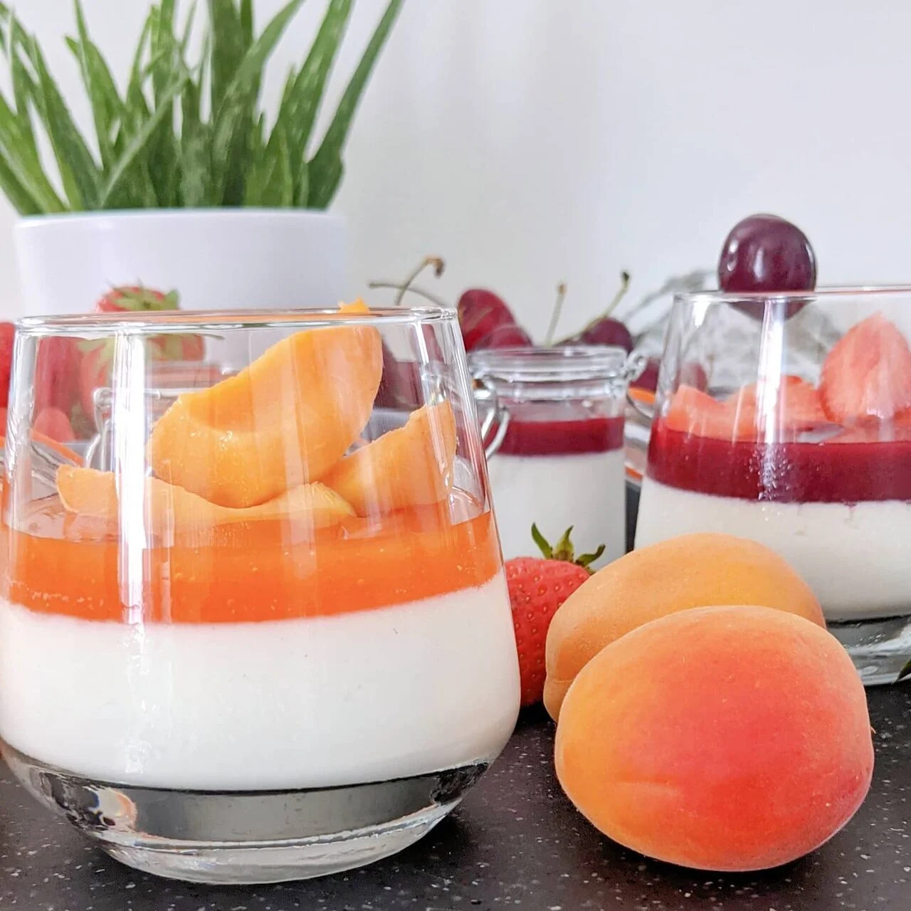 Panna cotta lait de coco