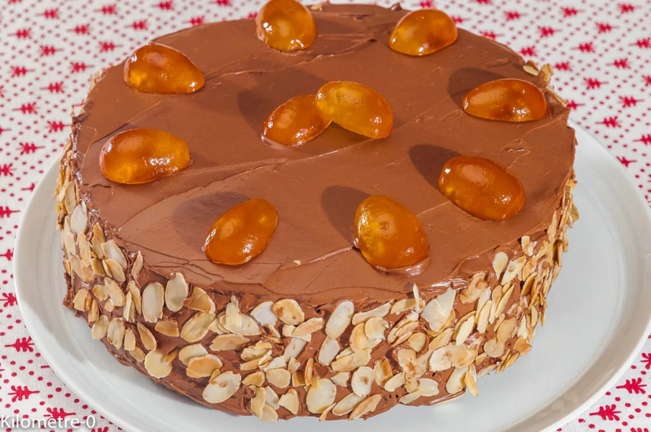 Gâteau au chocolat et à la ricotta