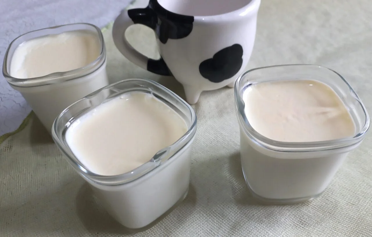 Yaourt maison au lait cru de ferme