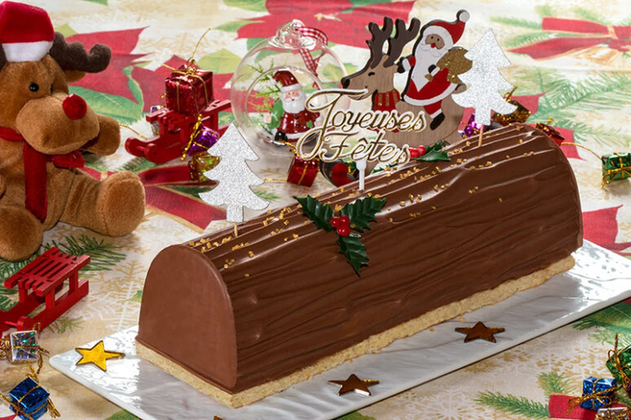 Bûche chocolat praliné