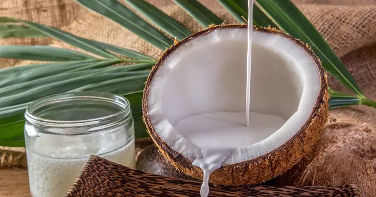 Punch coco traditionnel des Antilles