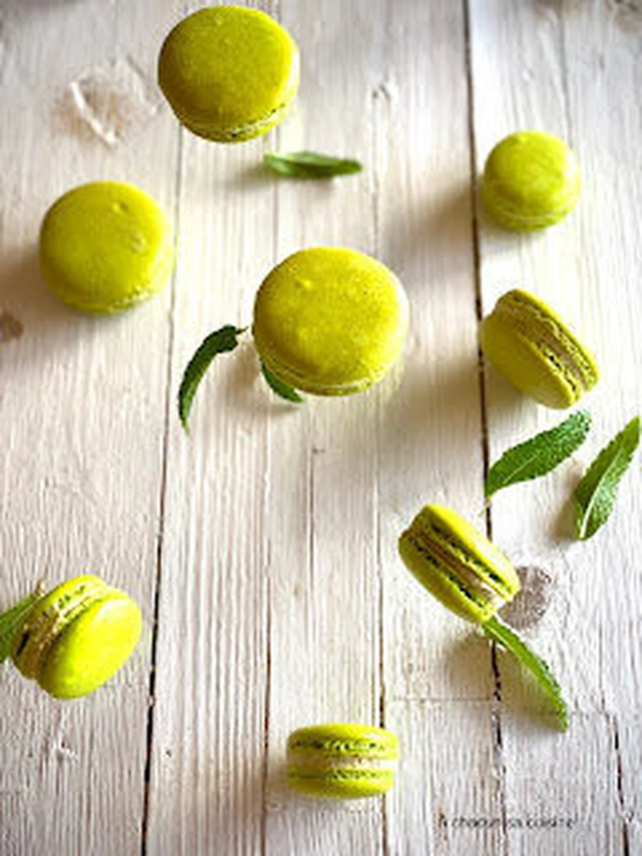 Macaron pistache
