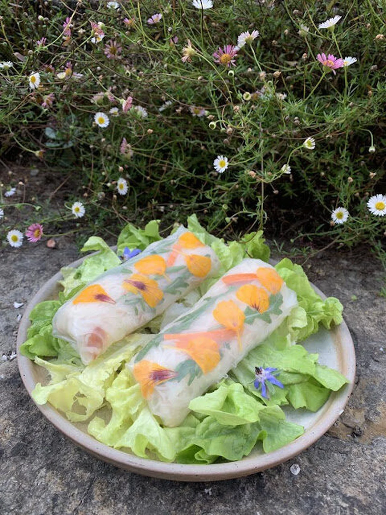 Rouleaux de printemps au crabe, crudités et roquette