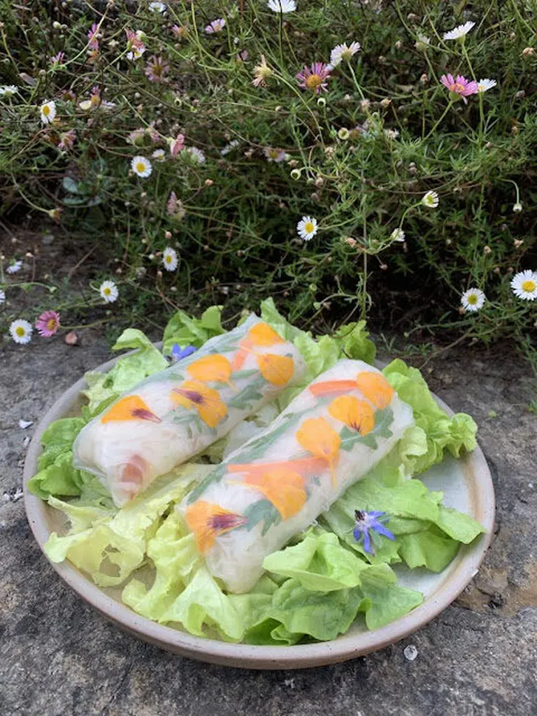 Rouleaux de printemps au crabe, crudités et roquette