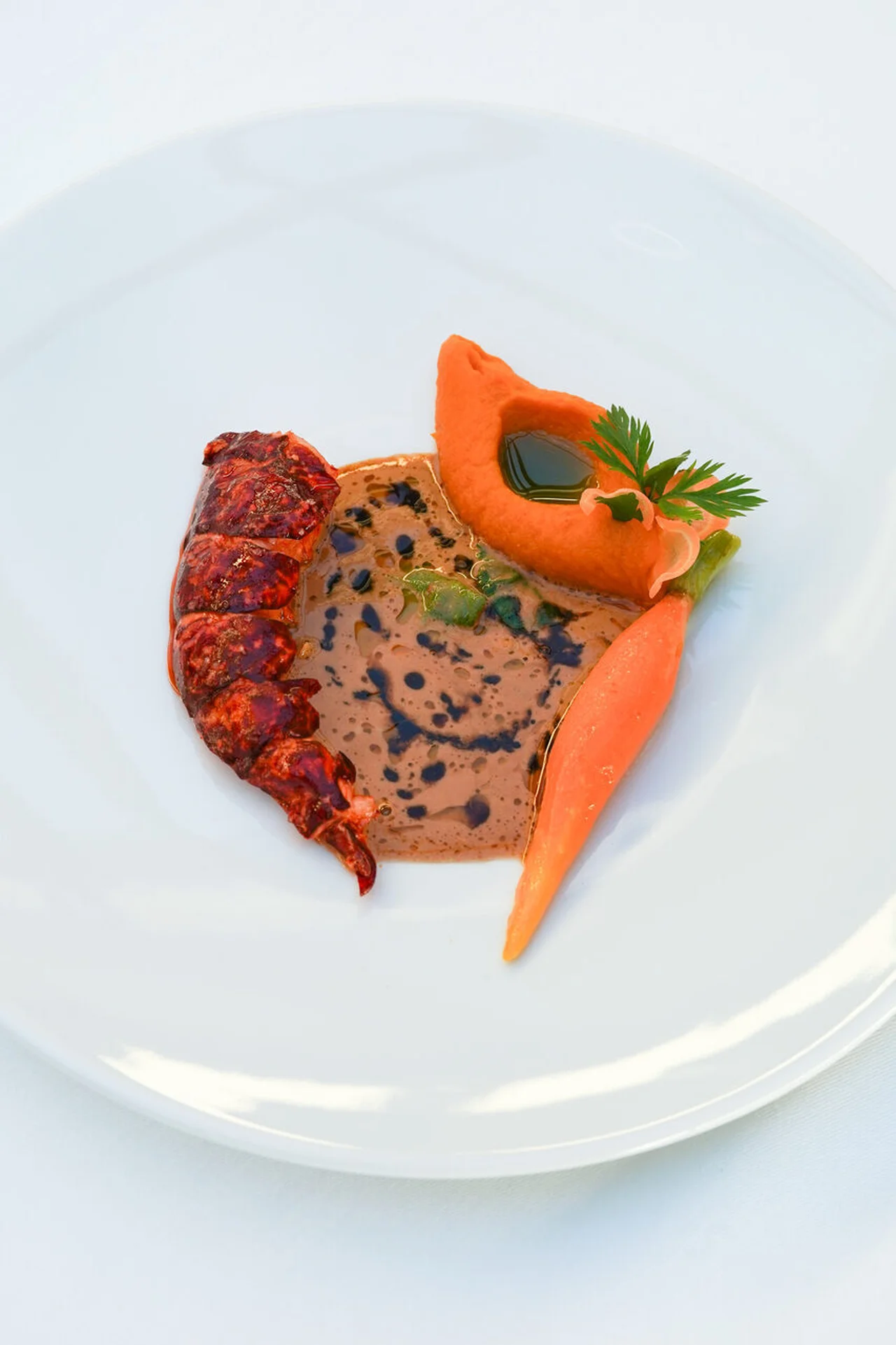 Homard bleu de Bretagne, agrumes et coriandre