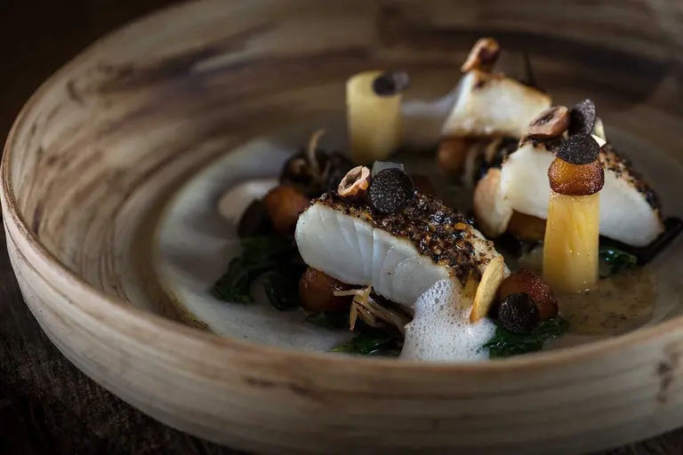 Sole, céleri et truffe