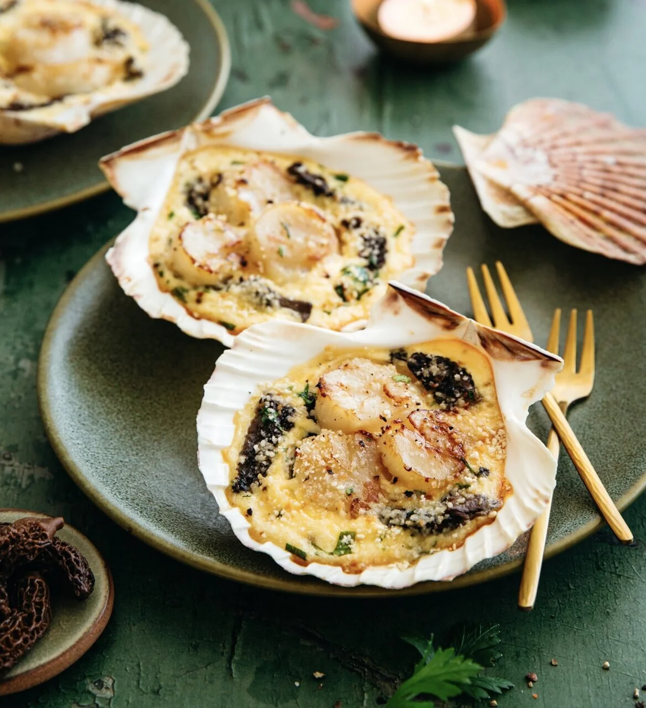 Noix de saint-jacques en coquille aux morilles