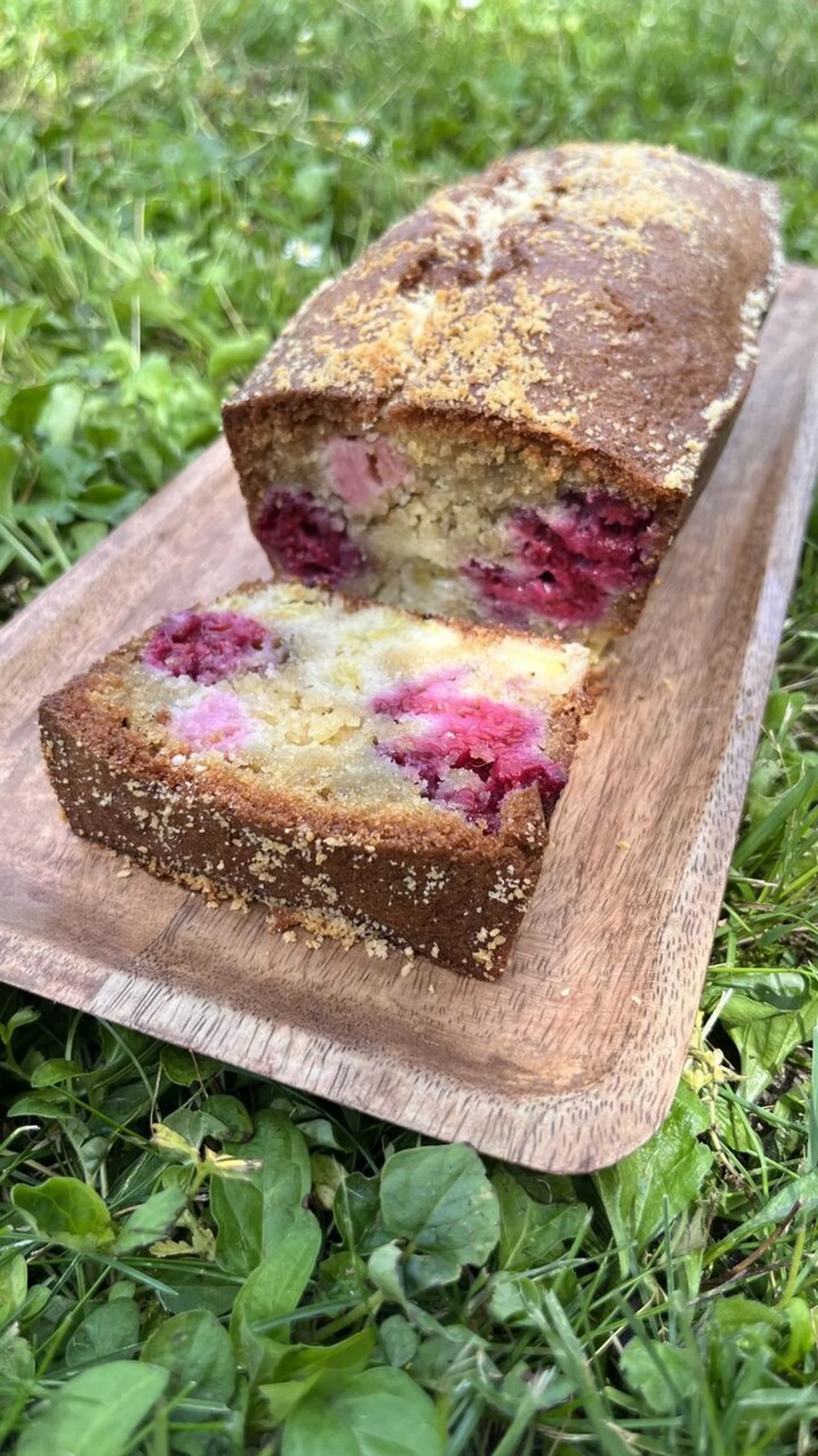 Cake rhubarbe framboises