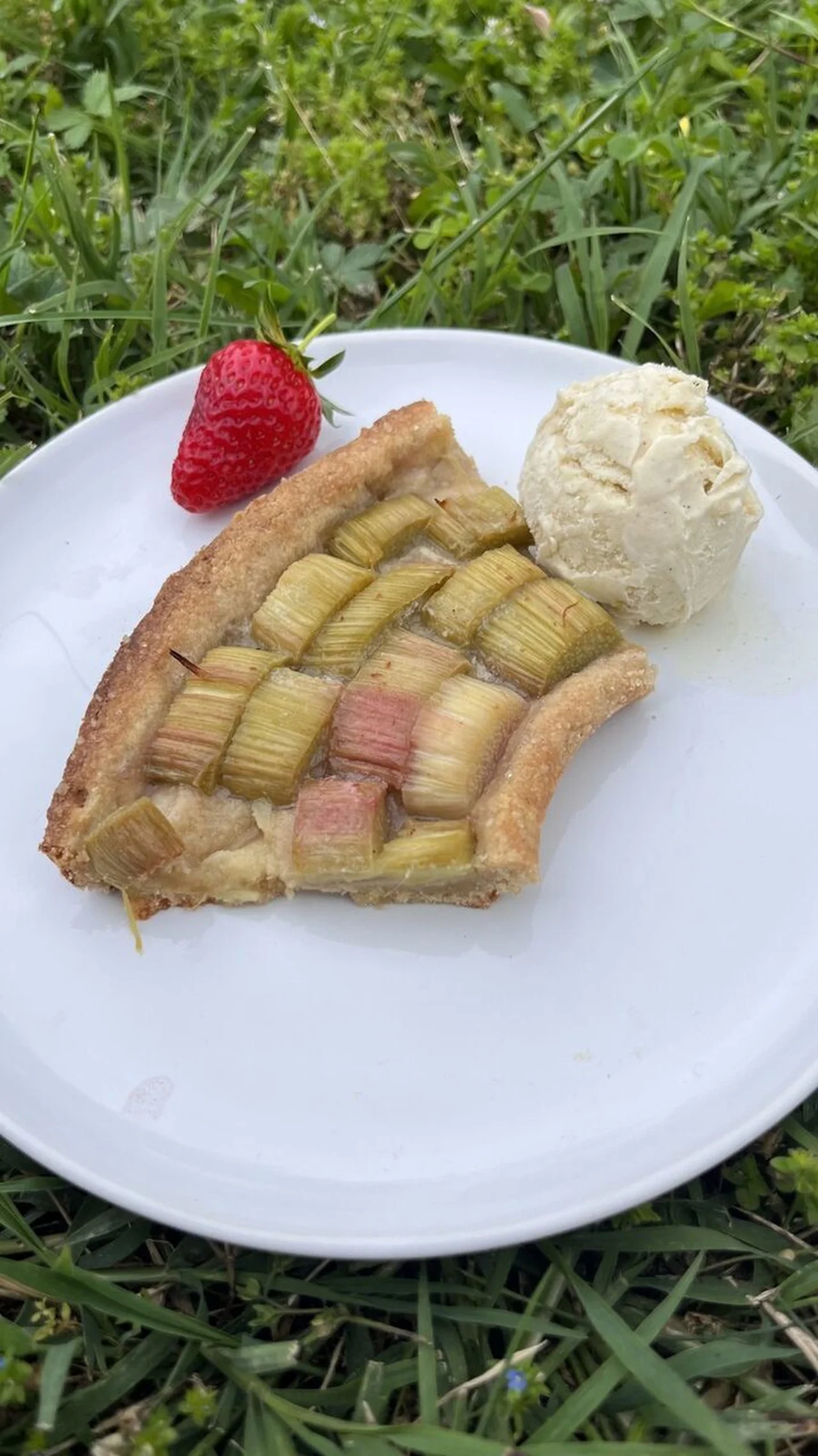 Tarte rhubarbe