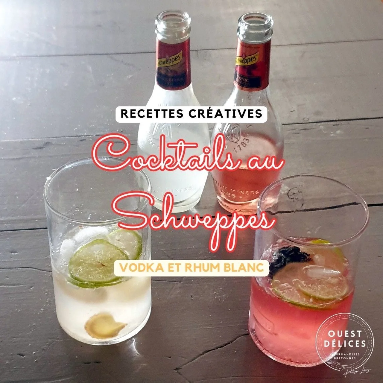 Cocktails au Schweppes Premium