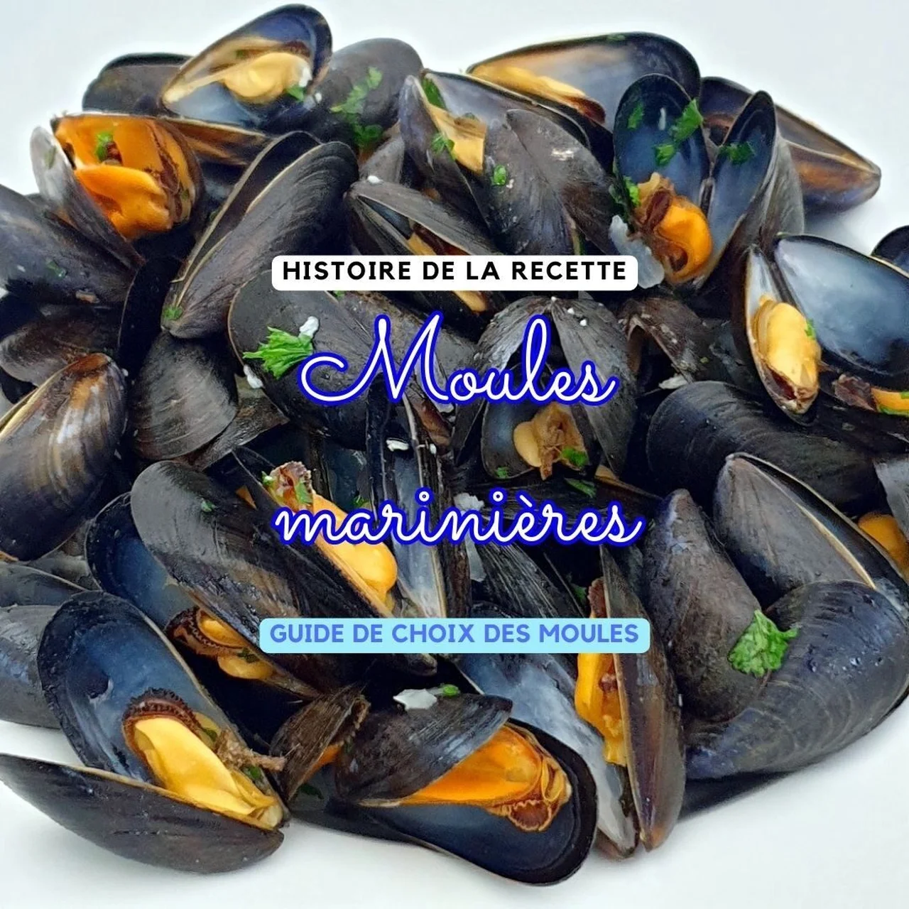 Moules marinières