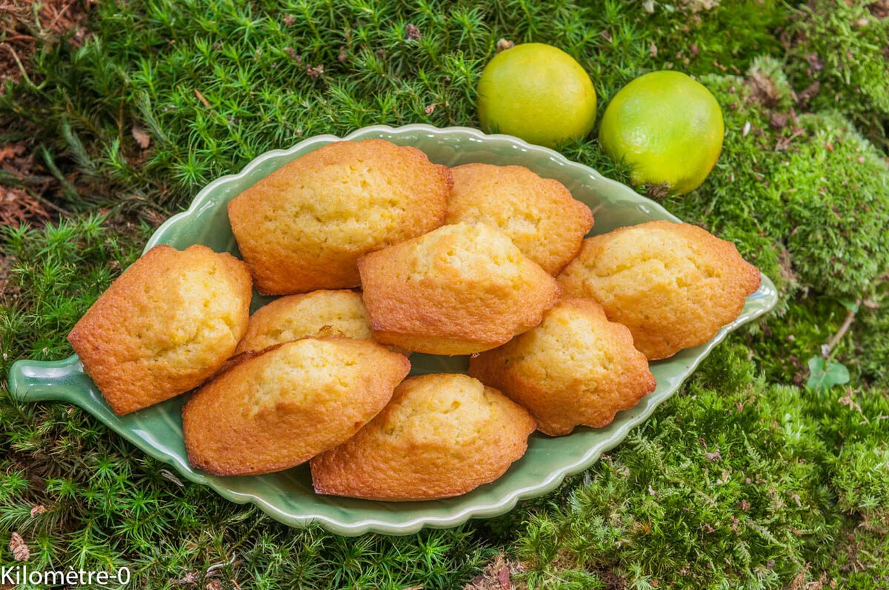 Madeleines au citron