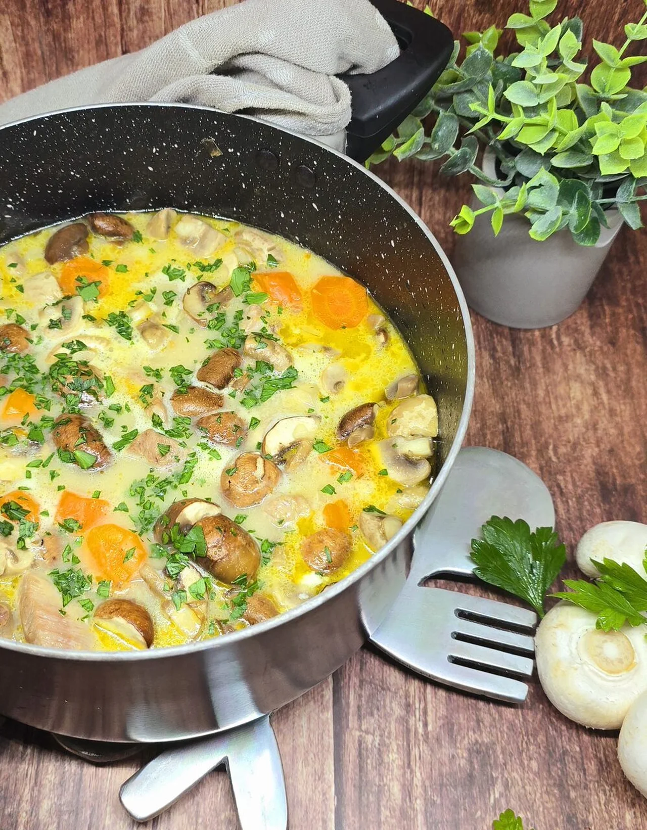 Blanquette de dinde