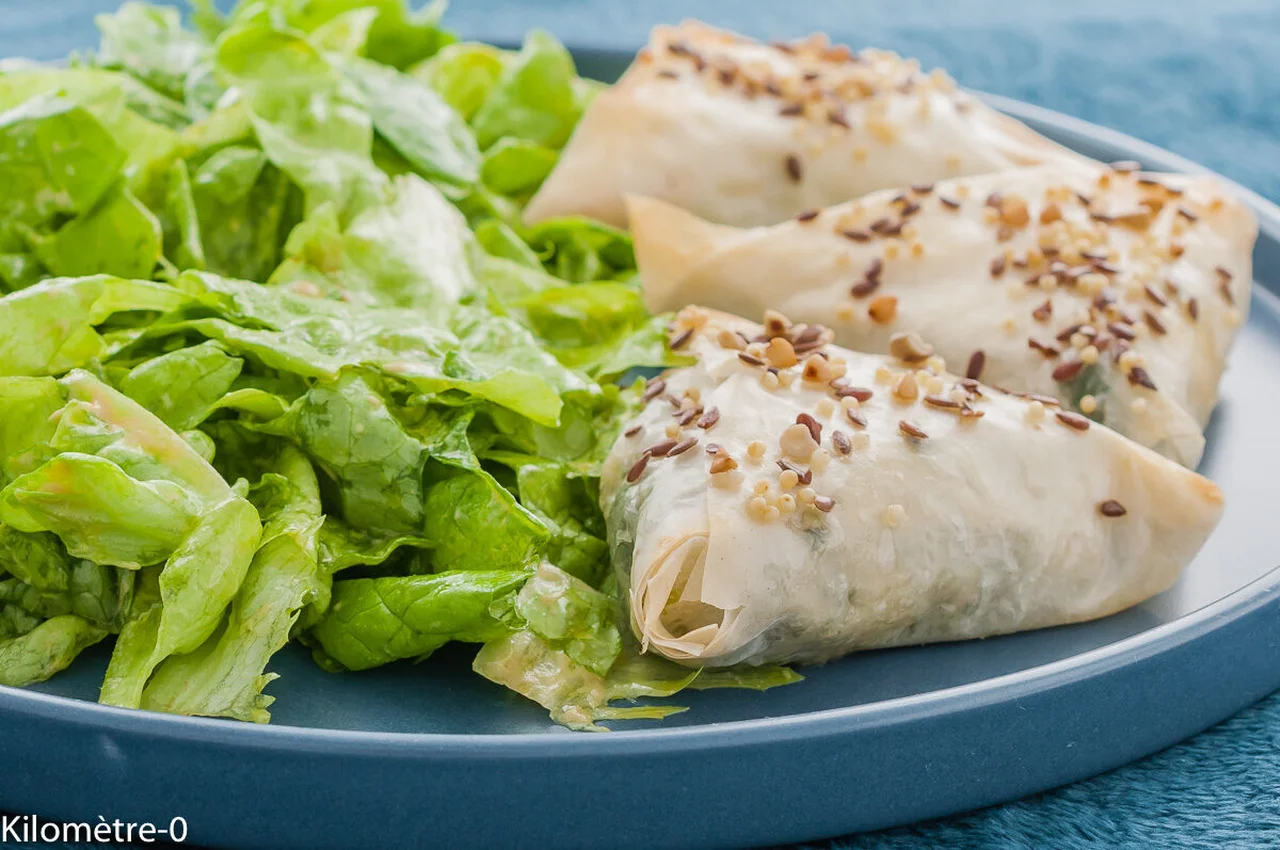 Briks aux épinards, poireaux et fromage