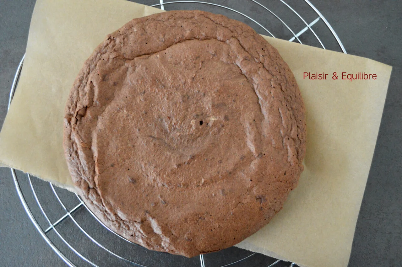 Gâteau au chocolat aux blancs d'œufs