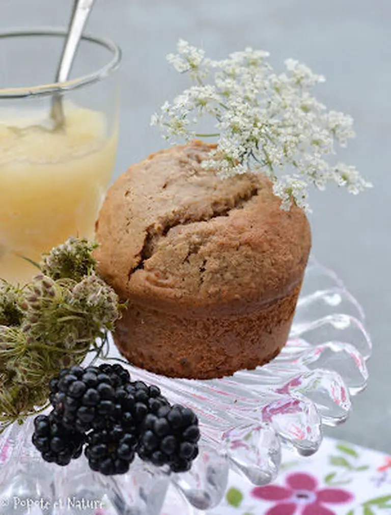 Muffins farine de châtaigne et carotte sauvage