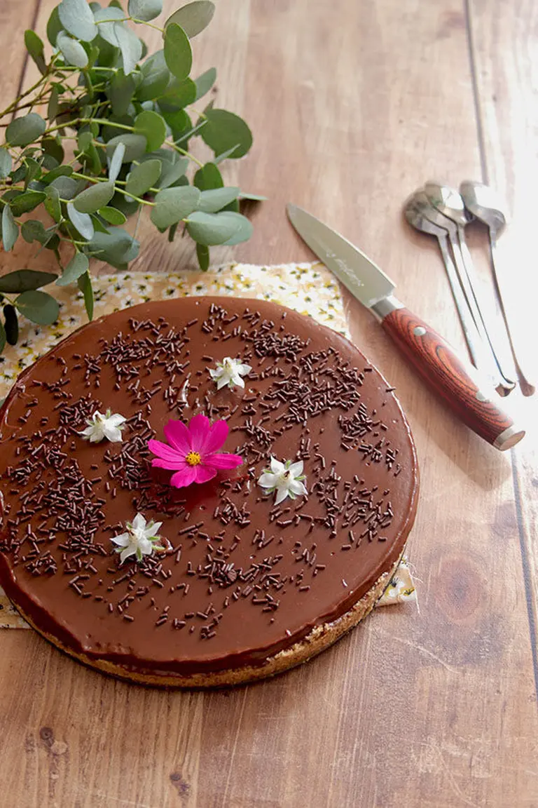 Tarte chocolat sans cuisson sans gluten sans lait