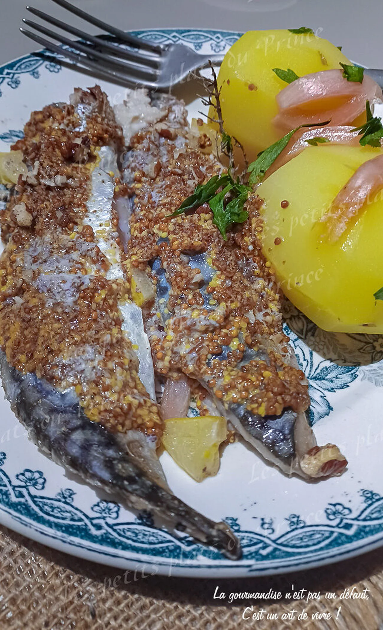 Filets de maquereaux, moutarde ancienne, citron confit