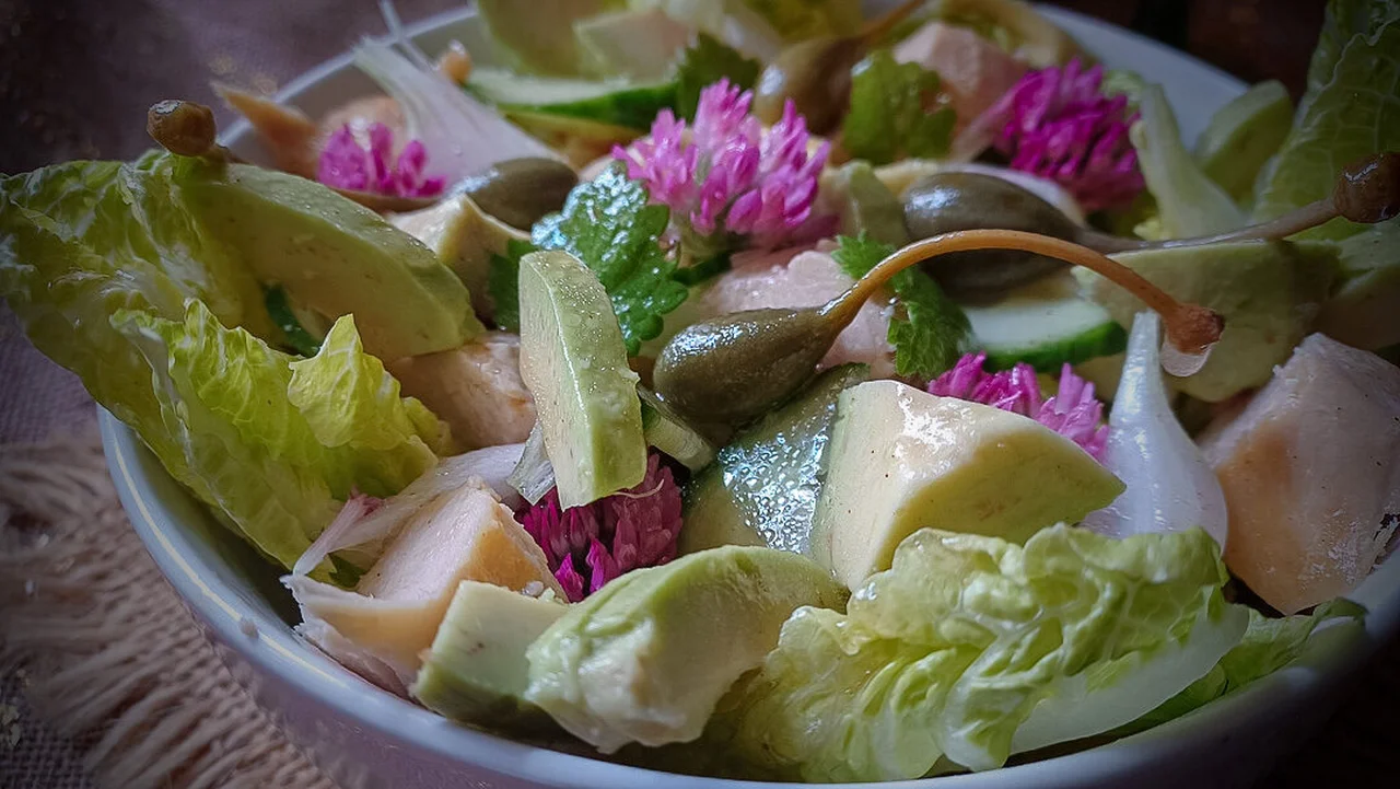 Salade sauvage aux fleurs de trèfle