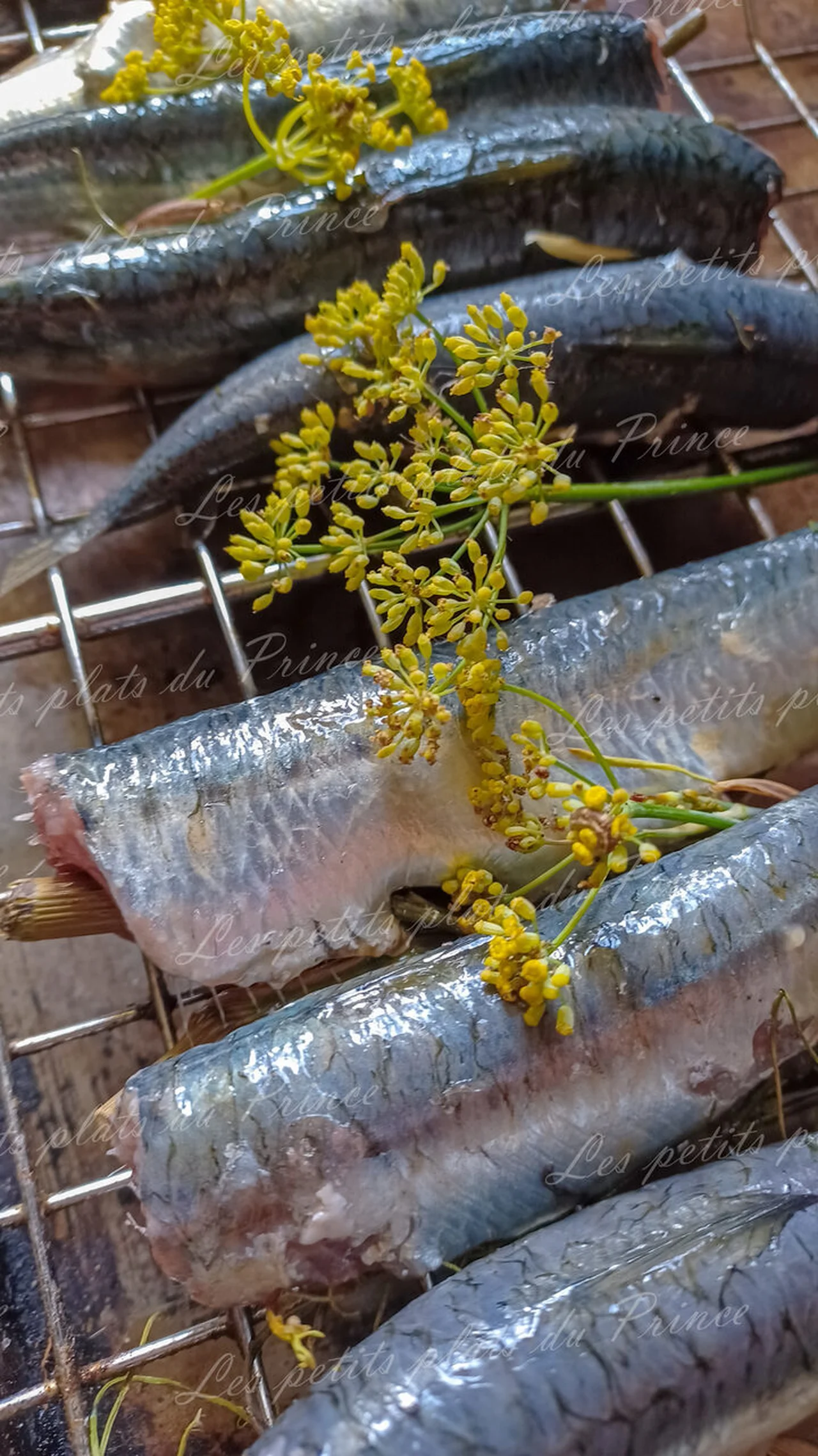 Sardines farcies au fenouil sauvage à la plancha