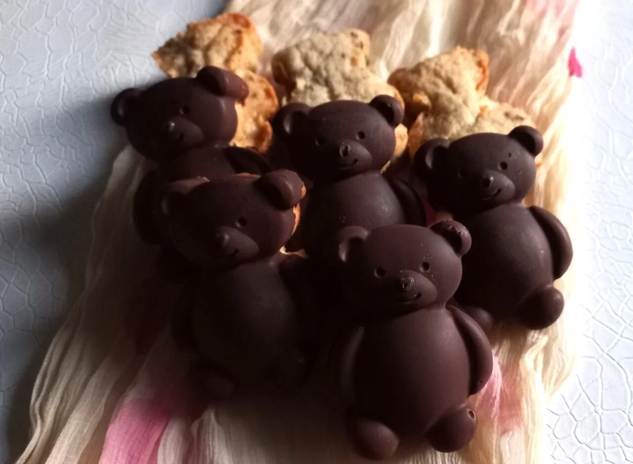 Oursons Cookies coque chocolat