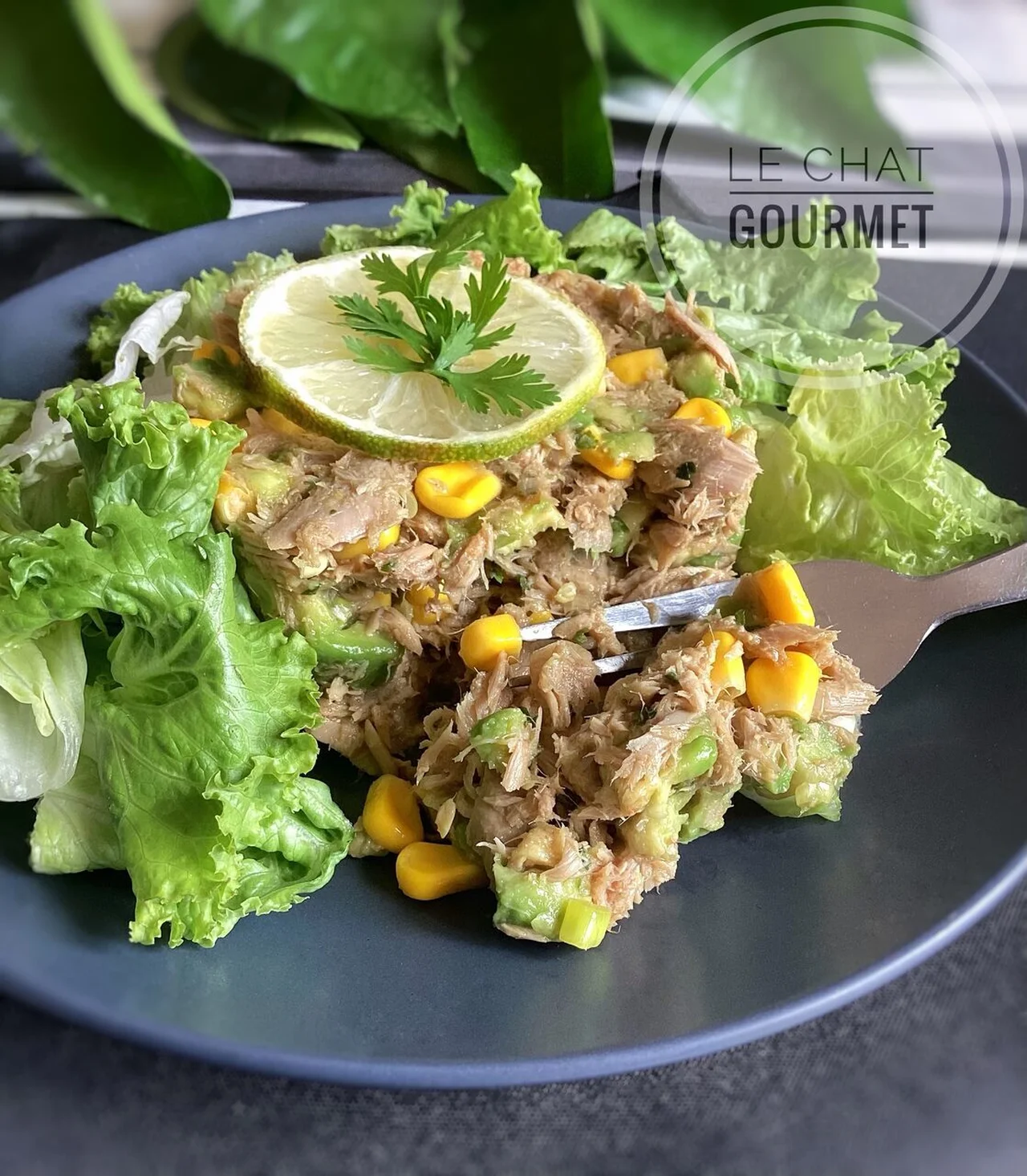 Timbale de thon au maïs et à l'avocat