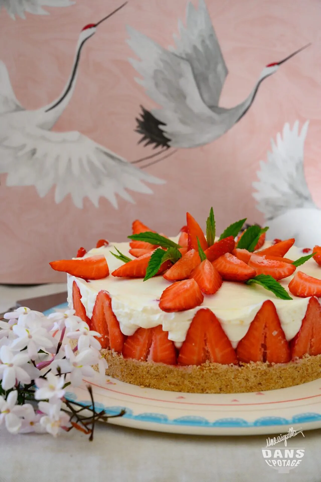 Cheesecake aux fraises sans cuisson