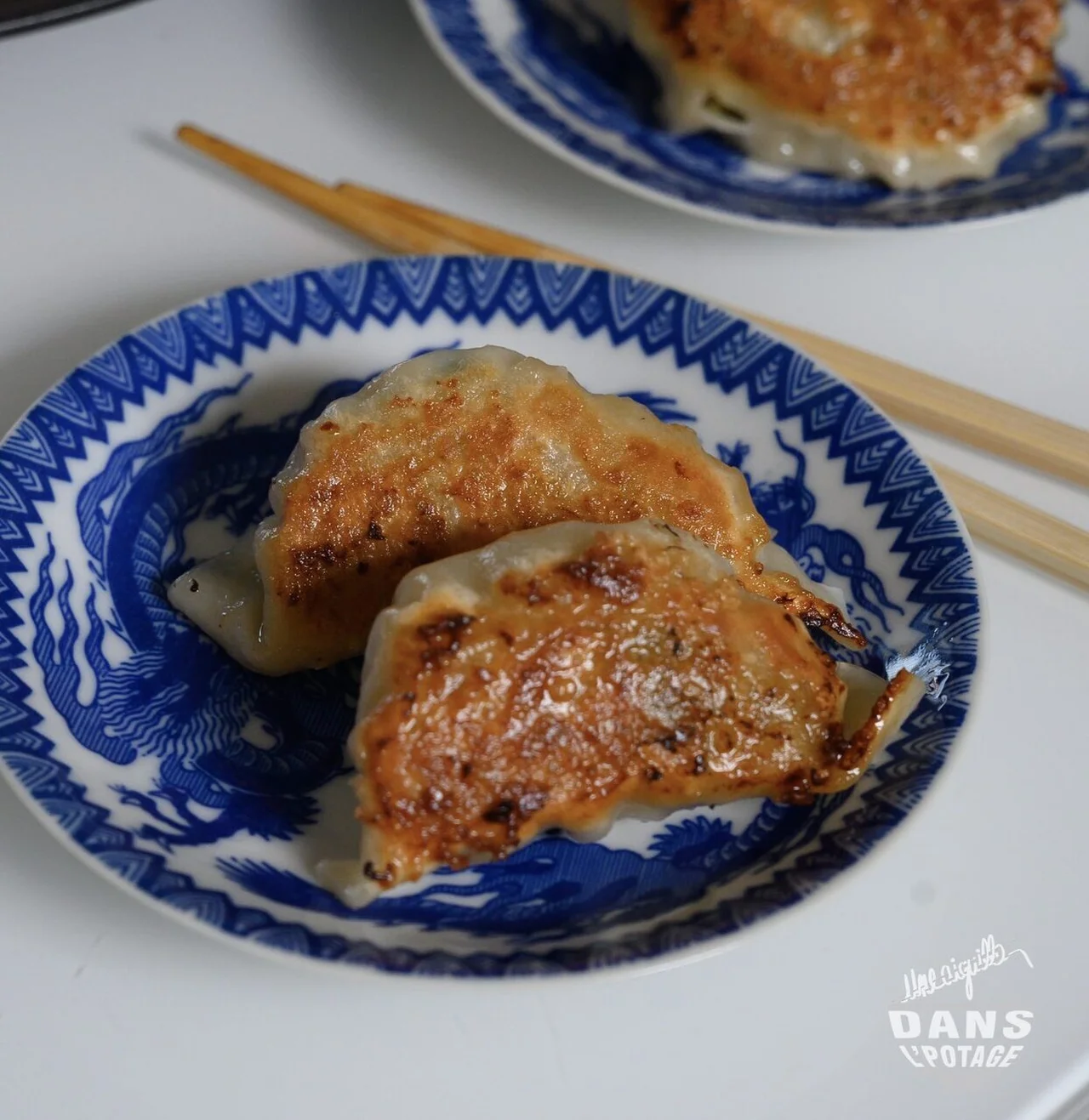 Gyoza au poulet