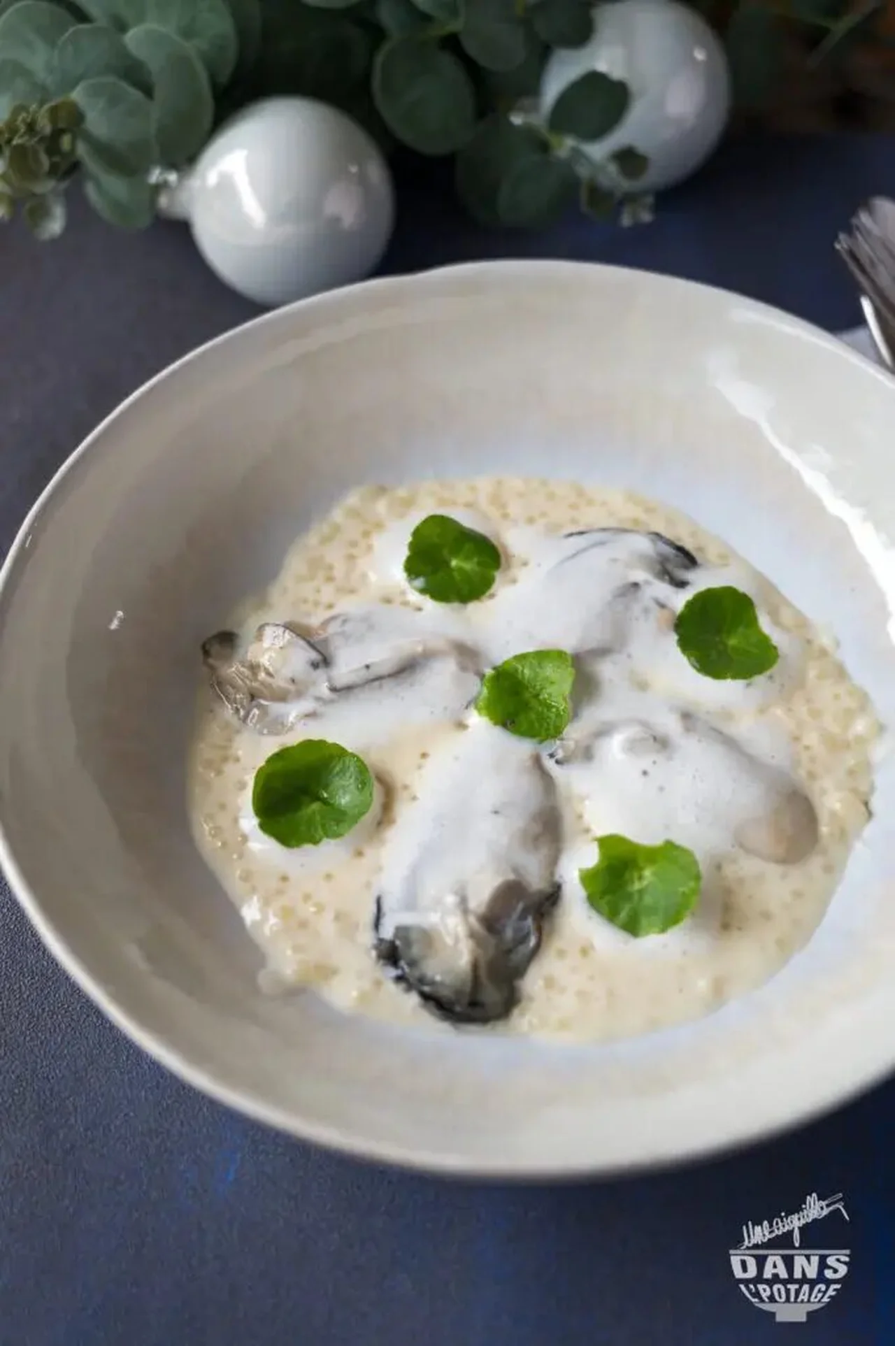 Huître à l'étuvée, jus marin et concombre, tapioca