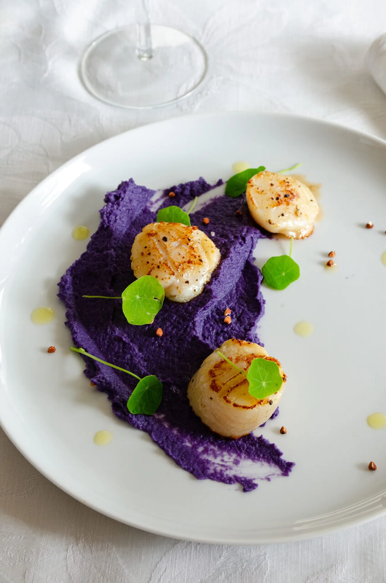 Noix de Saint-Jacques poêlées, purée de chou rouge