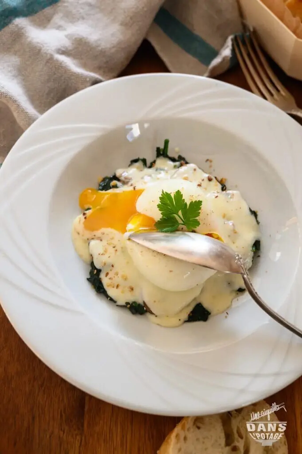 Oeuf mollet, épinard et champignons, crème au parmesan