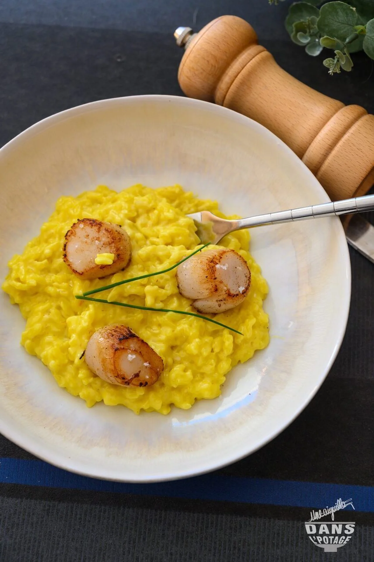 Risotto crémeux au safran et Saint-Jacques