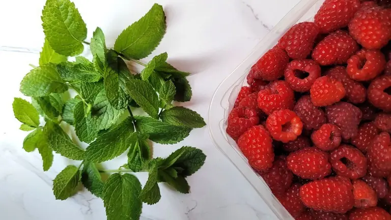 Confiture allégée framboise et menthe