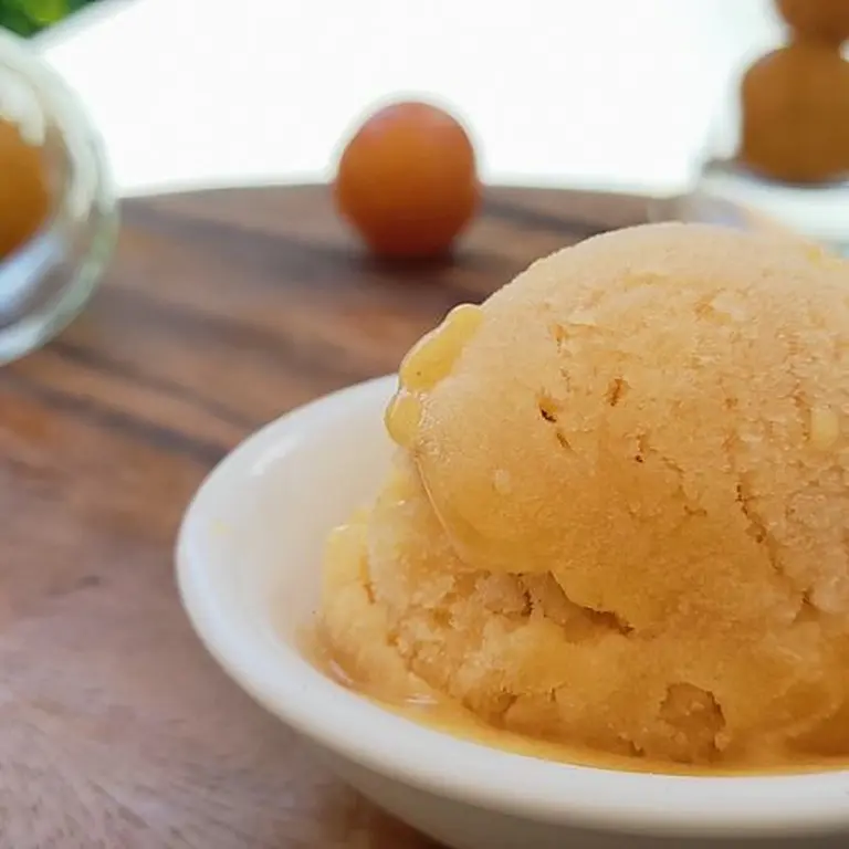 Sorbet Mirabelles