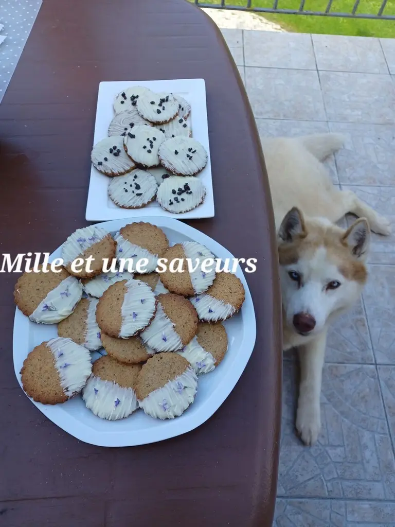 Biscuits à la farine de sarrasin
