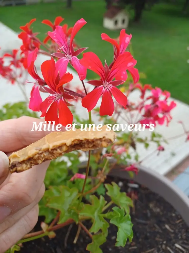 Croustillants au chocolat Dulcey