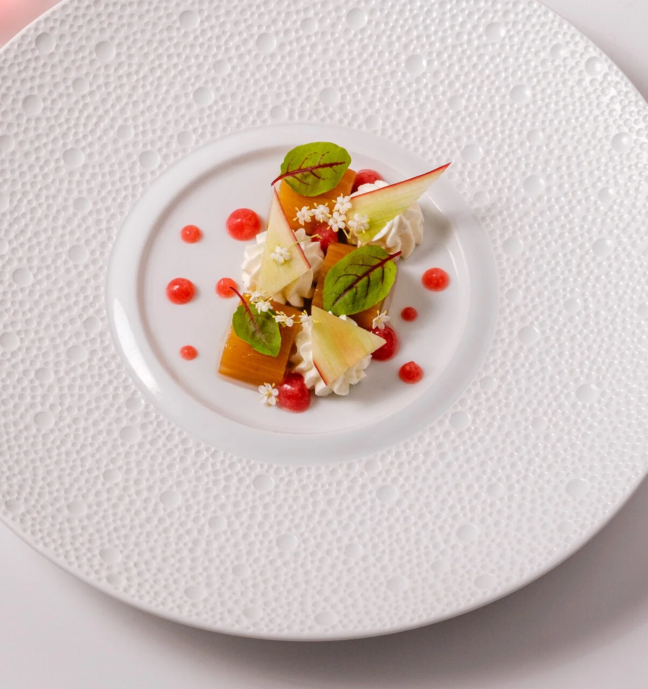 Rhubarbe pochée, ganache sureau, gel rhubarbe-sureau