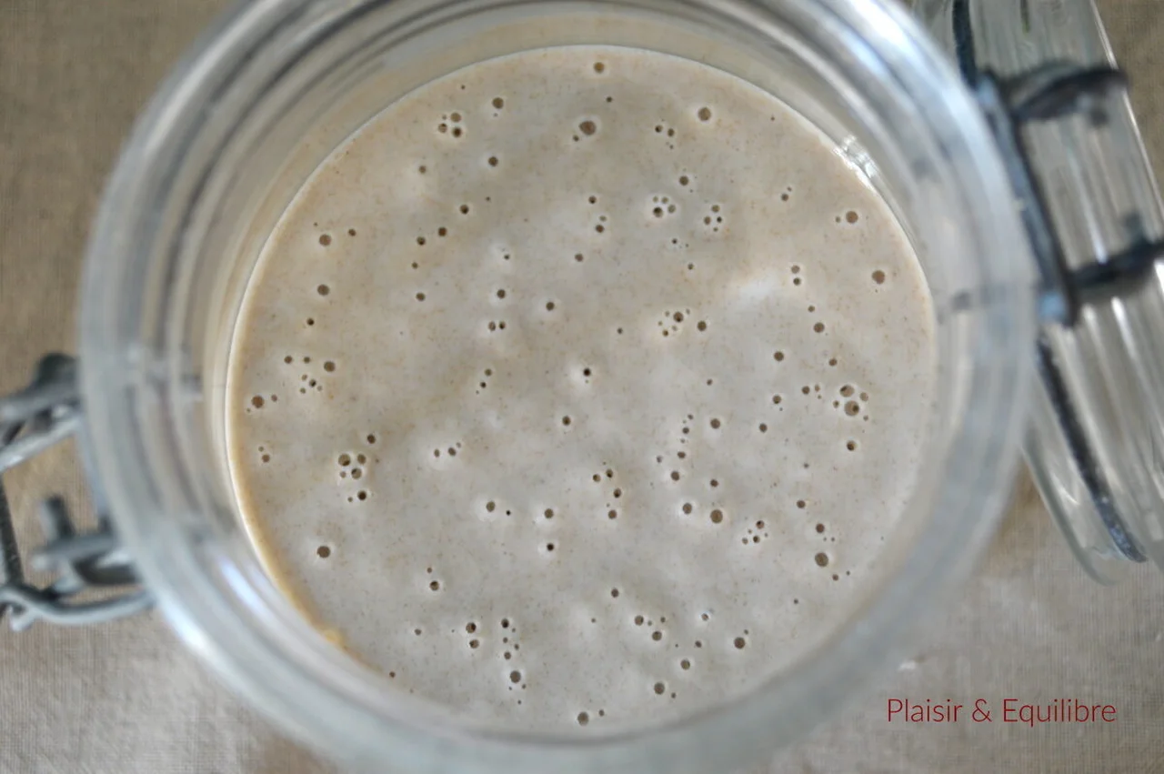 Levain liquide d'Eric Kayser