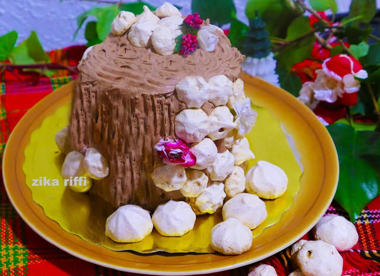 Bûche souche