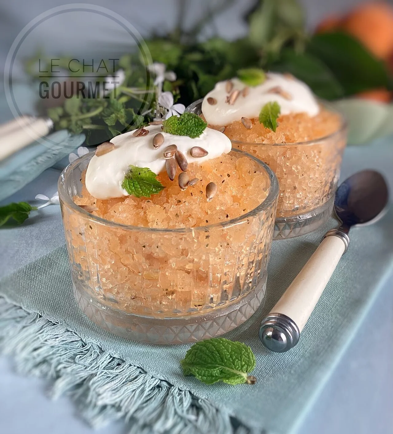 Granité de melon à la menthe