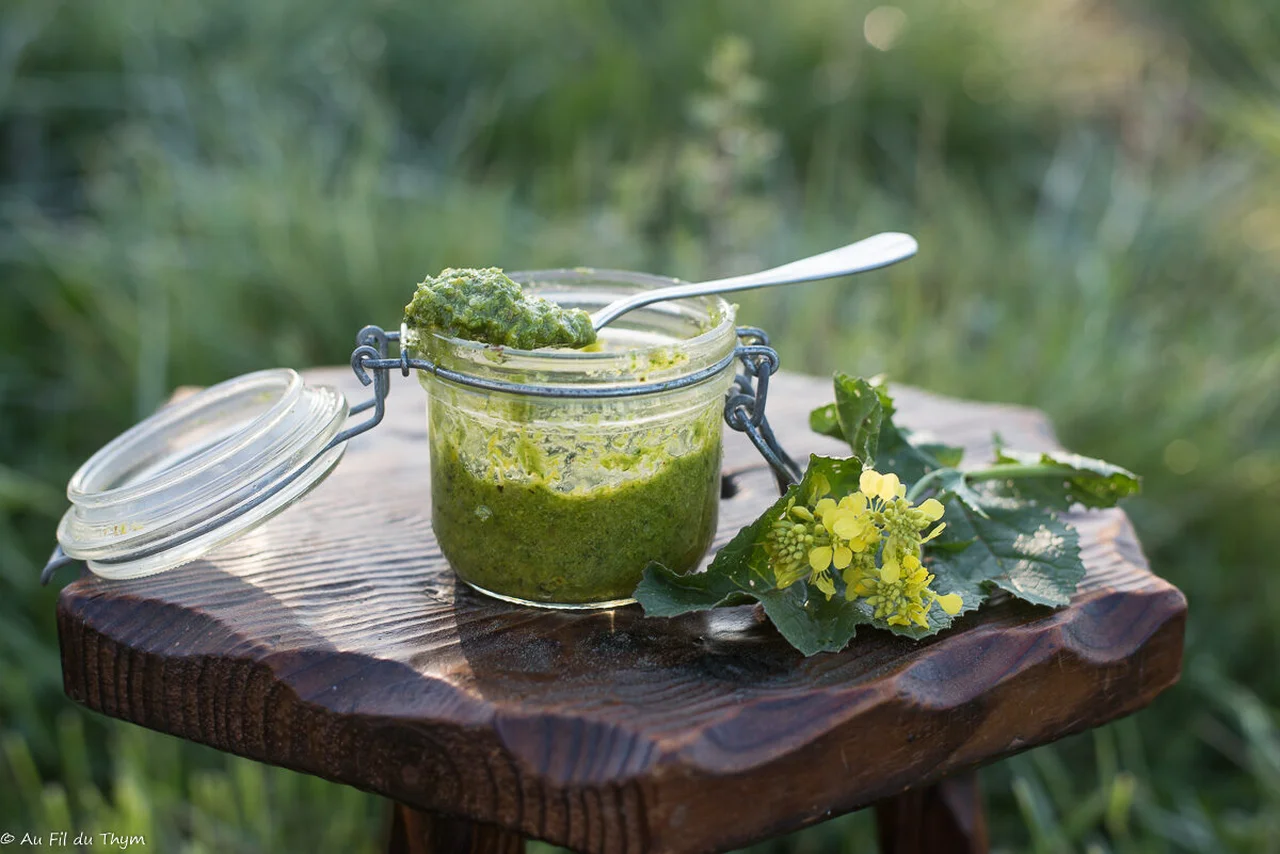 Pesto de fleurs de moutarde sauvage
