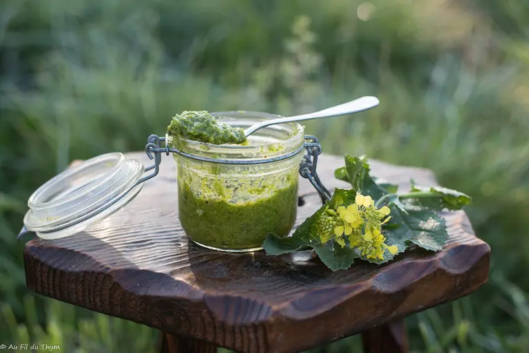 Pesto de fleurs de moutarde sauvage