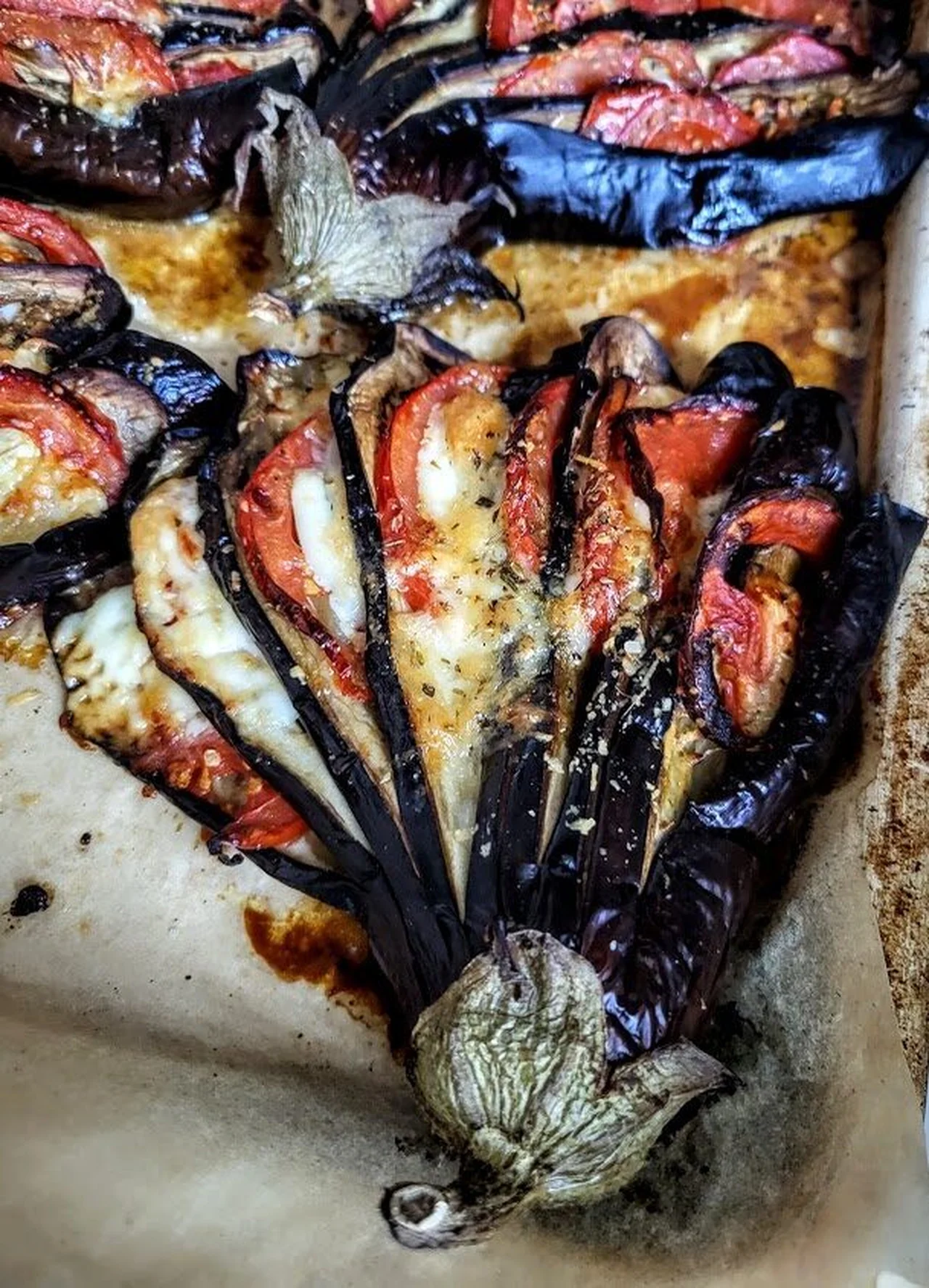 Les aubergines aliènes